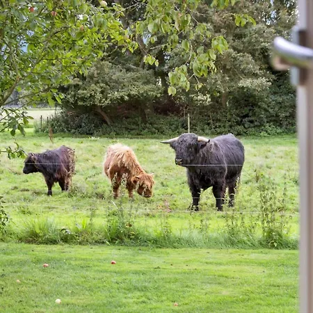 30164-odder-p-baatrupsvej-8 *