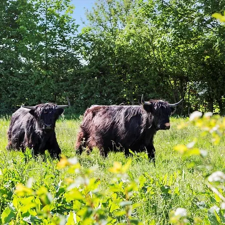 30164-odder-p-baatrupsvej-8 別荘